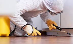 Trusted Atlantic City, NJ Pest Control Experts